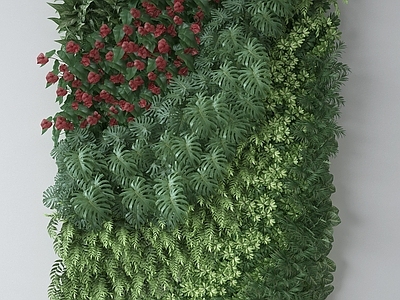 现代植物墙