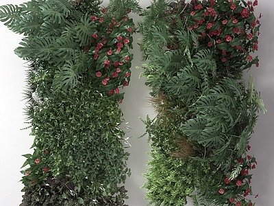 现代植物墙 藤蔓