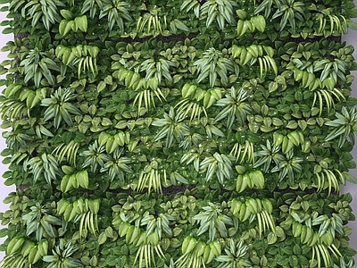 现代植物墙 藤蔓