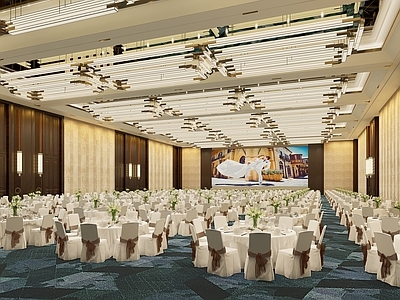 现代酒店空间 宴会厅 大型会议室 多功能厅
