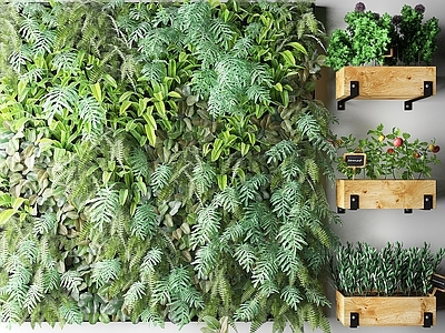 现代绿植墙 花草 植物墙