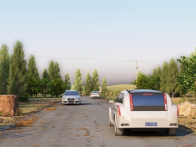 现代街道 自然 植物 灌木 风景 路面