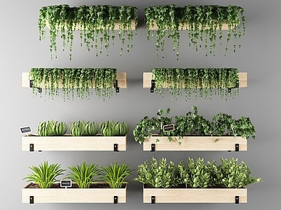 现代绿植花草植物壁挂植物组合