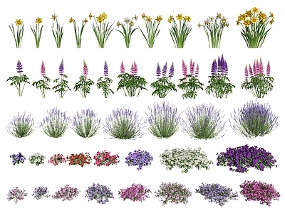 现代花草组合 绿化 鲜花