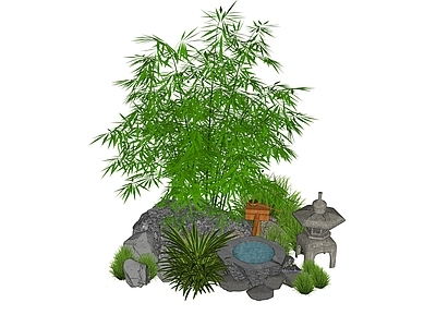 现代植物 竹子