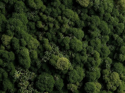 绿植仿真公园户外庭院植被