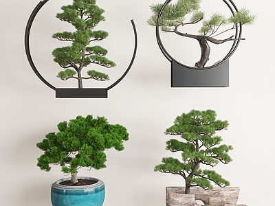 新中式盆栽 盆景 植物