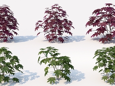 花草