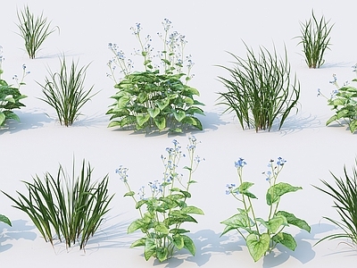 花草