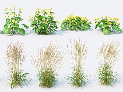 花草组合