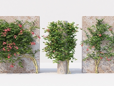 绿植墙 爬藤 藤蔓 爬墙虎