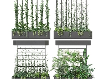 现代花钵花坛 爬藤 灌木 植物堆 藤蔓