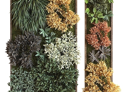 现代植物墙
