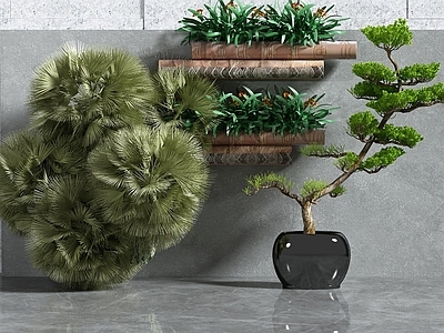 现代绿植墙