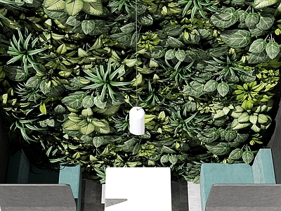 现代绿植墙
