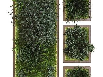 现代绿植墙 植物墙