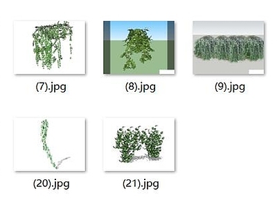 现代藤本植物 绿植墙