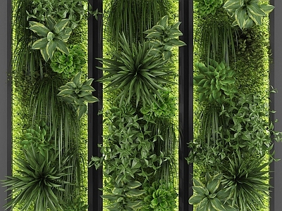 现代绿植墙 植物墙 墙饰