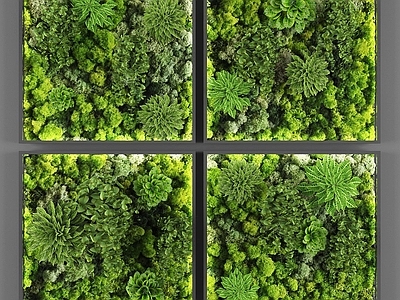 现代绿植墙