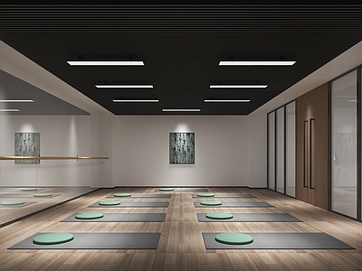 现代瑜伽健身室  公共空间