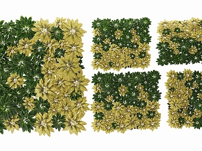 现代绿植墙