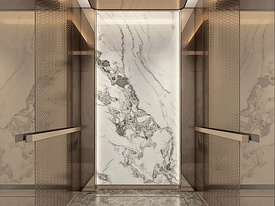 新中式电梯 轿厢