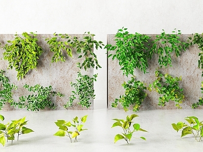 现代绿植墙 藤蔓 爬山虎 爬藤