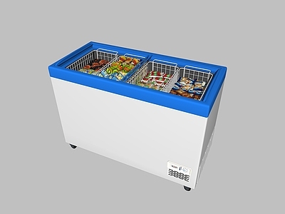 现代冰箱 冰柜 雪糕