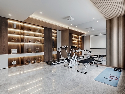 现代家居健身房