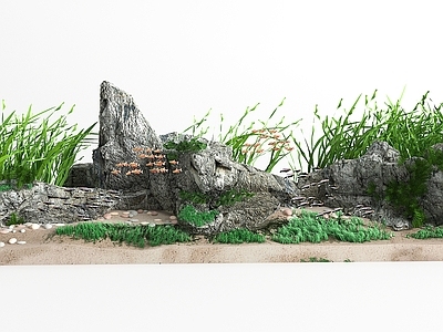 现代鱼缸水族 景观石 水草