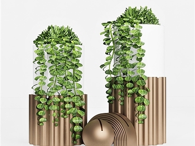 现代盆栽 花盆 植物 绿植 花瓶 草 摆件