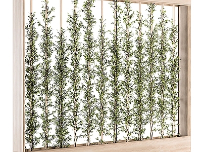 现代绿植墙 植物墙