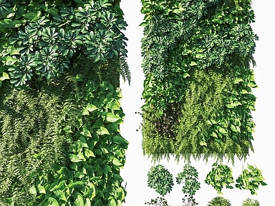 现代绿植墙