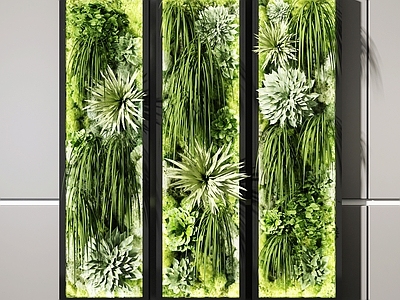 现代绿植墙