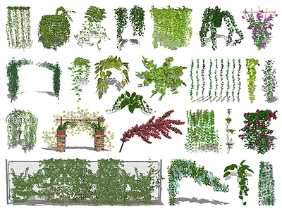 现代藤蔓 爬藤 绿植墙 垂直绿化 藤条 绿植墙
