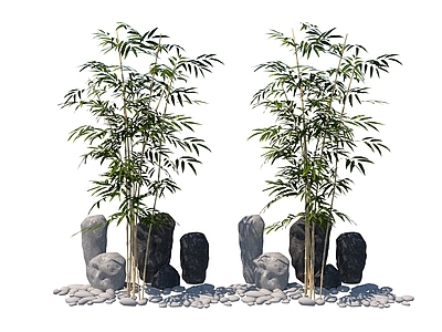 新中式竹子 石头