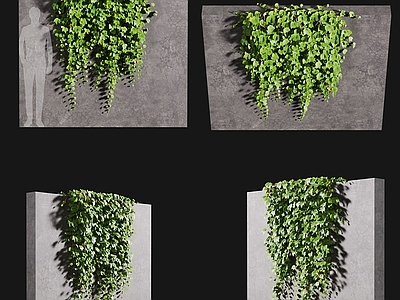 现代绿植墙 爬山虎 藤蔓