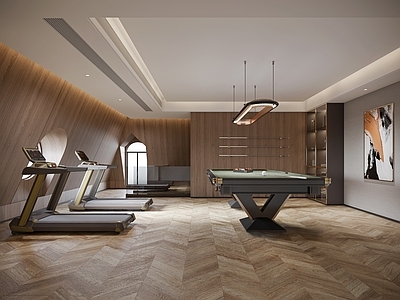 现代台球室 健身房