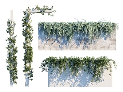 现代绿植墙