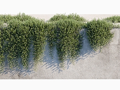 现代绿植墙 花草花卉