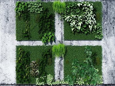 现代绿植墙