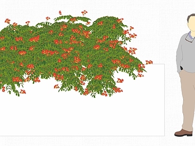 现代爬藤植物