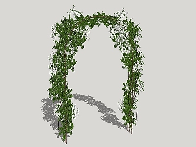 现代绿植 花