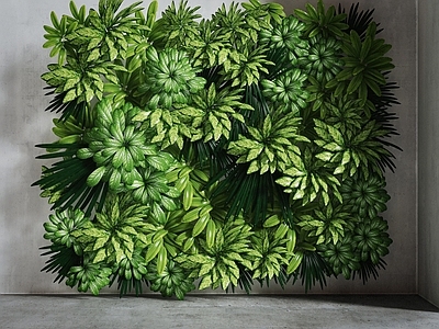 现代绿植墙