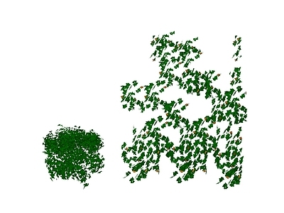 现代绿植墙 藤蔓