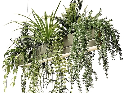 现代吊篮 绿植 植物 花篮 盆栽