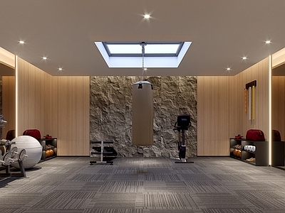 现代家居健身房