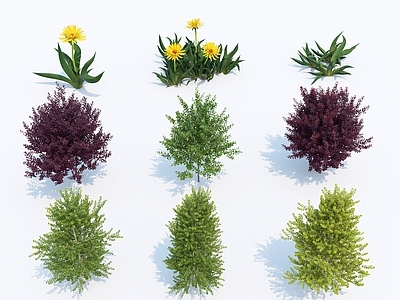 花草