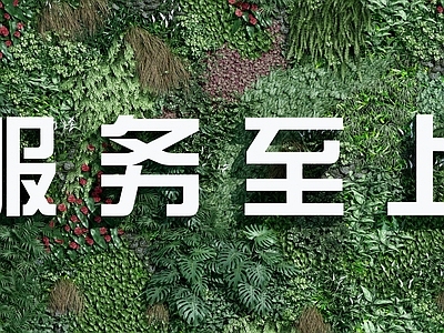 现代绿植墙