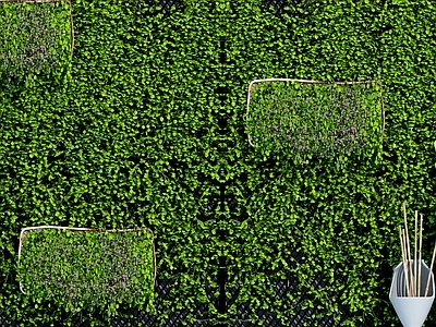 现代绿植墙